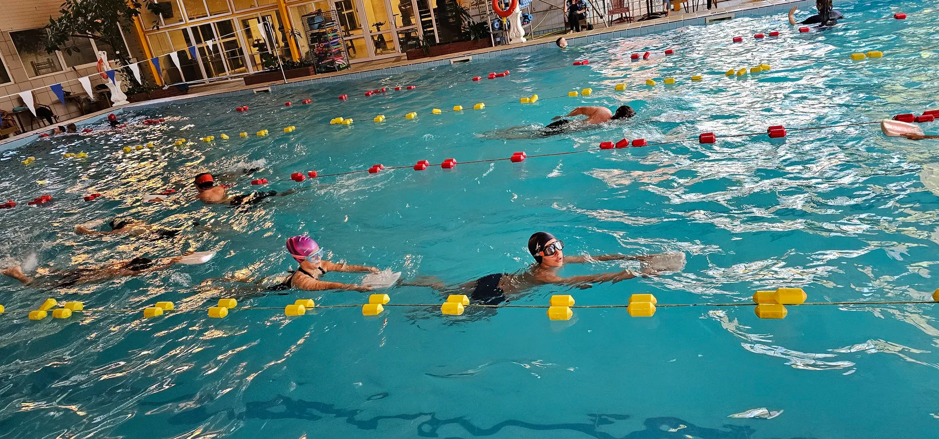 Zajęcia pływania Szkoła Pływania ORKA — września 2024